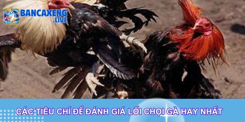 Các tiêu chí để đánh giá lối chọi gà hay nhất