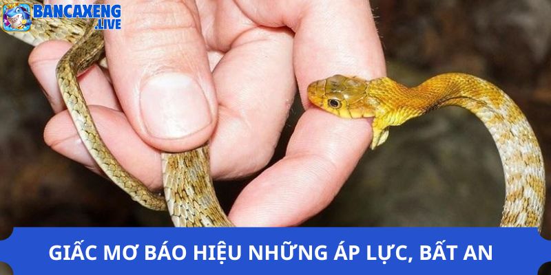 Giấc mơ báo hiệu những áp lực, bất an