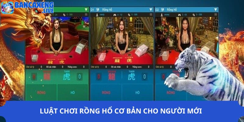 Luật chơi Rồng Hổ cơ bản cho người mới