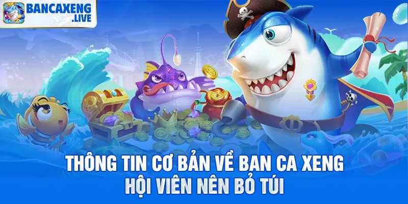 Thông tin cơ bản về ban ca xeng hội viên nên bỏ túi